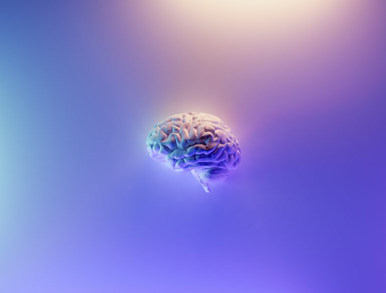 The Menopause Brain | Wisdoms and Wrinkles