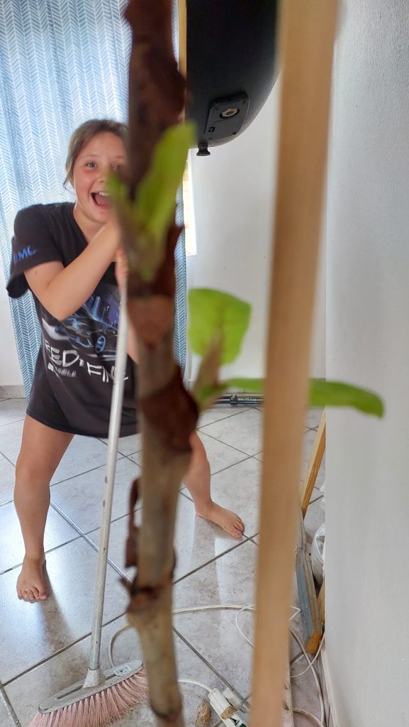 My Favourite 2024 Moments in Photos | Wisdoms and Wrinkles