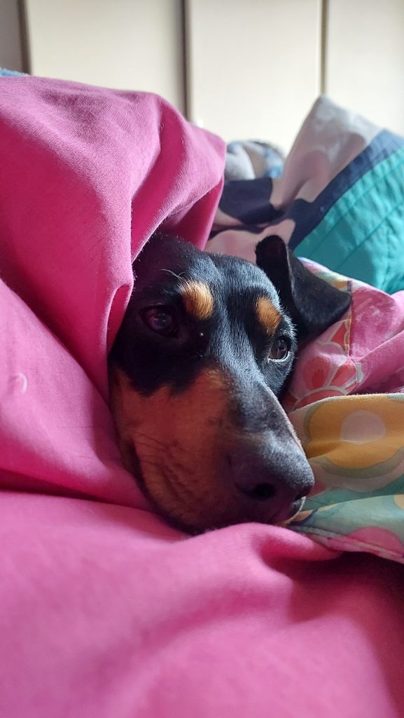 My Favourite 2024 Moments in Photos | Wisdoms and Wrinkles