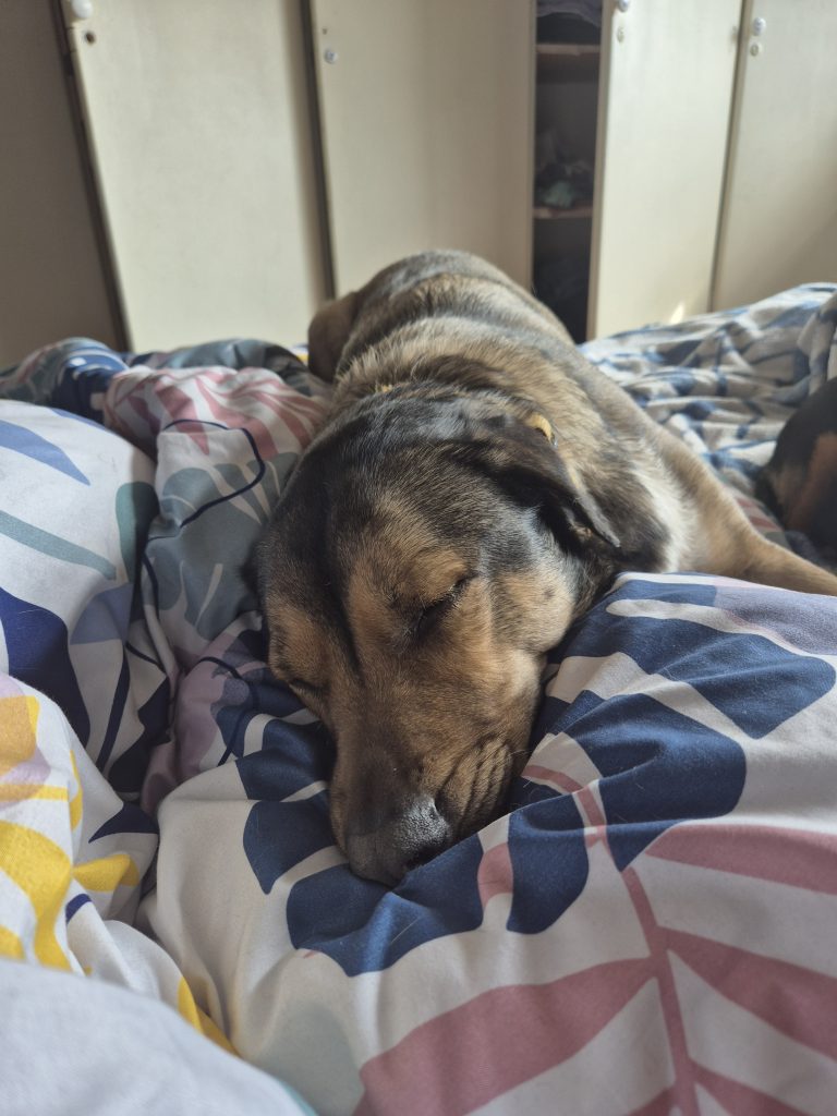 My Favourite 2024 Moments in Photos | Wisdoms and Wrinkles