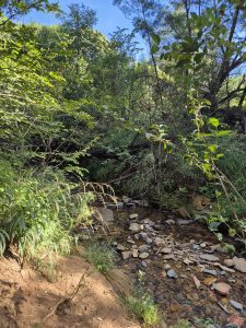 Hikes in Pretoria