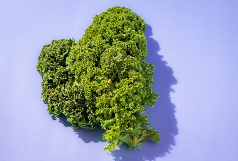 The Humble Gallbladder: Why Your Body Needs Bitter Foods