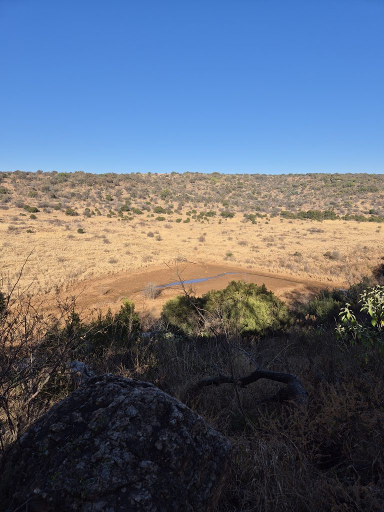 Sunday Walk: Groenkloof