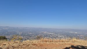 Sunday Walk: Wonderboom Nature Reserve