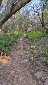 Sunday Walk: Moreleta Kloof Nature Reserve