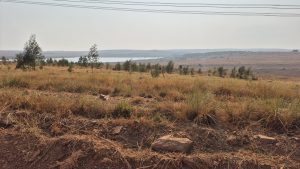 Sunday Walk – Rietvlei Nature Reserve