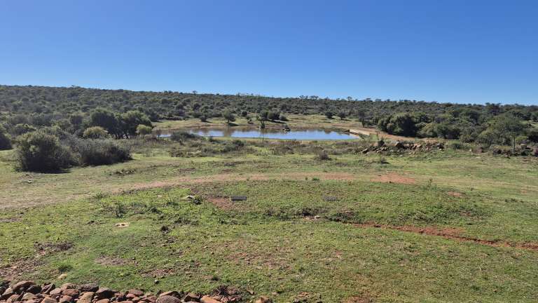 A Weekend at Bona Bona